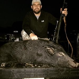 Meet your Posher, Austin